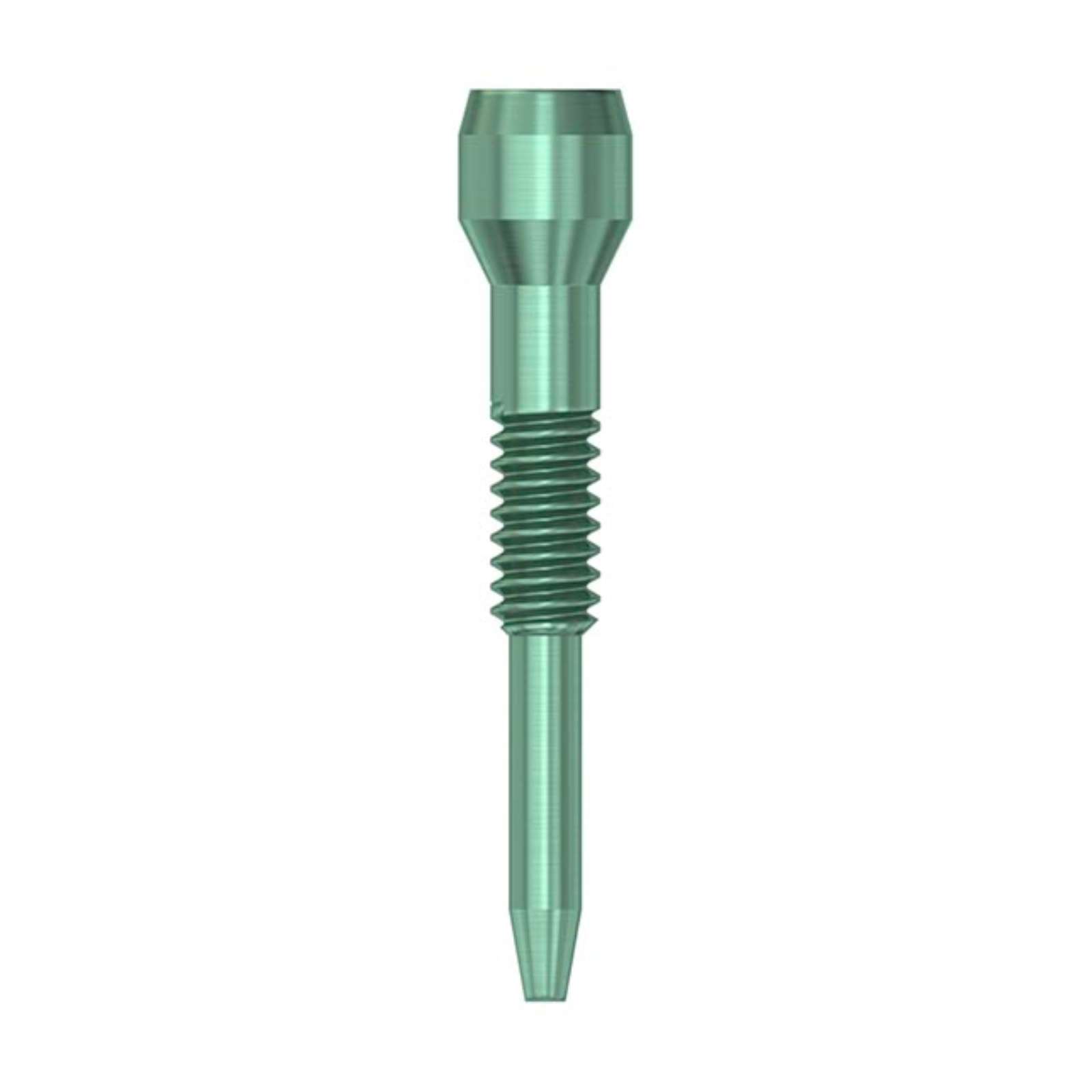 DS Lab Abutment Screw EV (XS) 4pcs - Фото 1 DS Lab Abutment Screw EV (XS) 4pcs - Фото 1