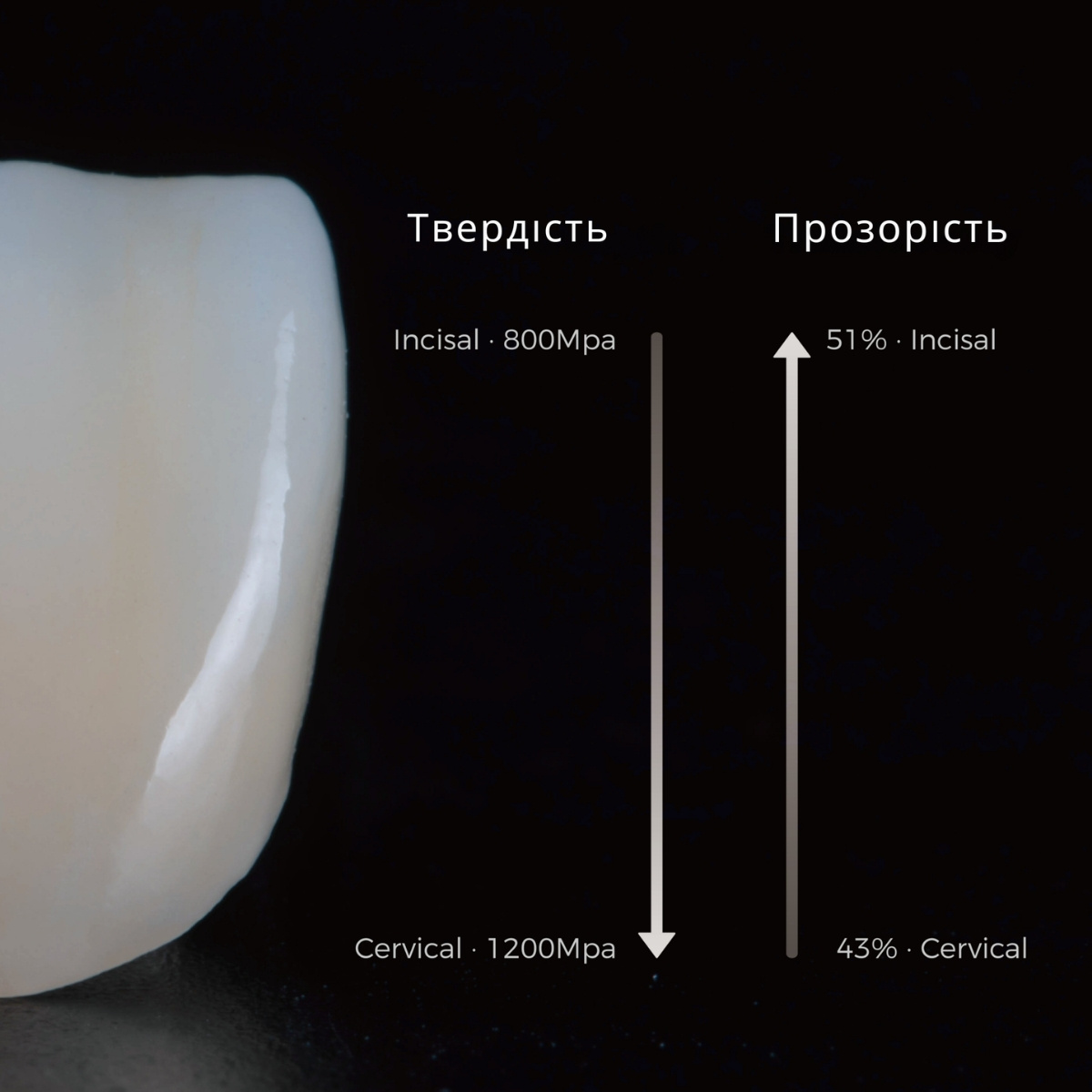 Диск цирконієвий Aconia 3D Master 98х12 мм, колір A2 - Фото 3