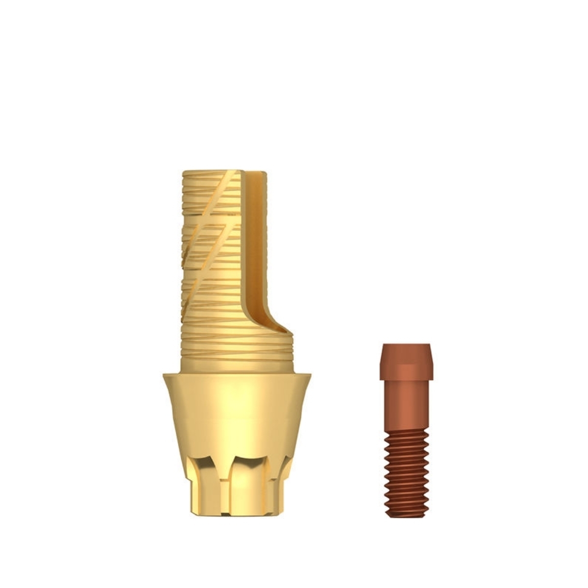 TitaniumBase EV ASA (XL) 2mm TitaniumBase EV ASA (XL) 2mm