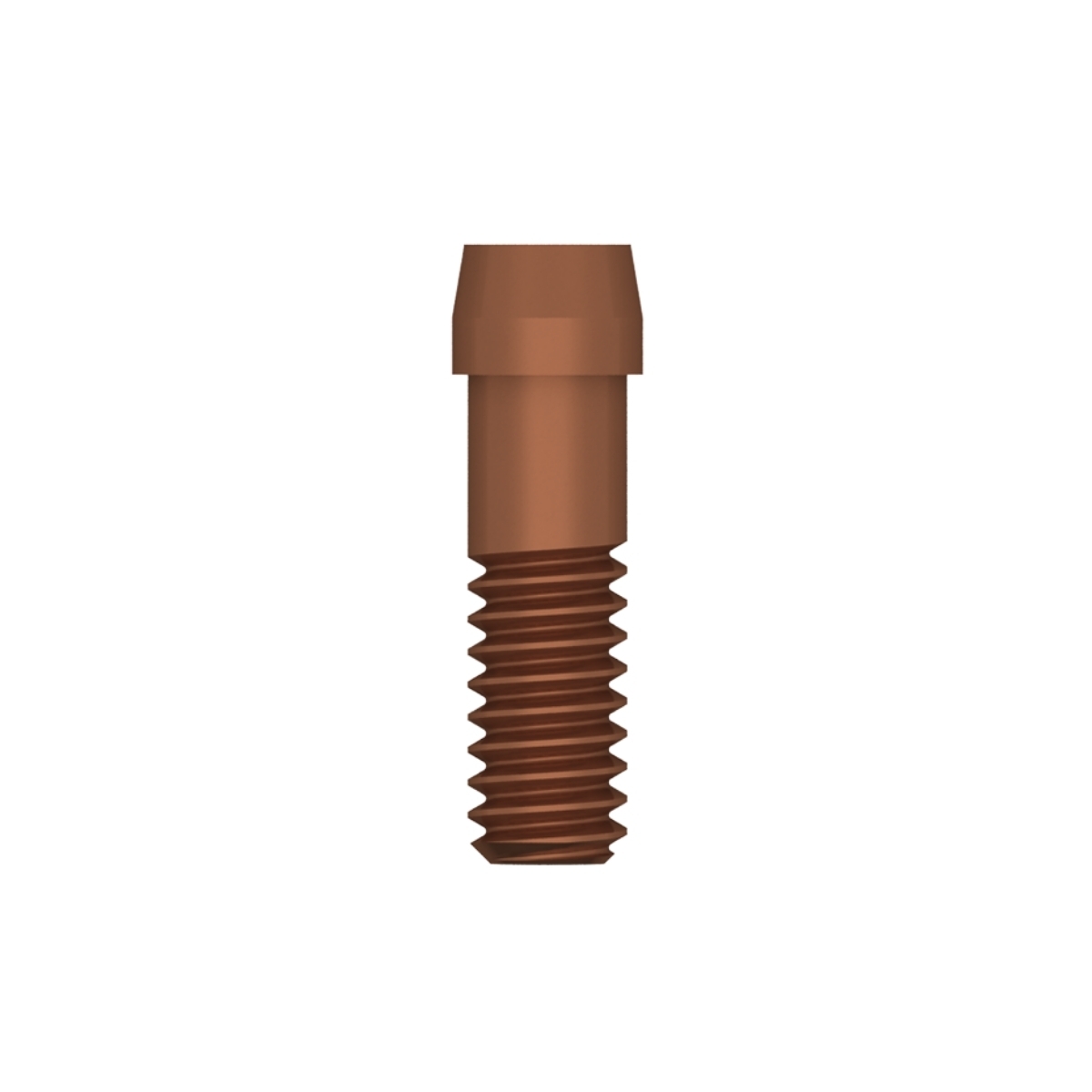 TitaniumBase EV ASA Abutment Screw (XL) low